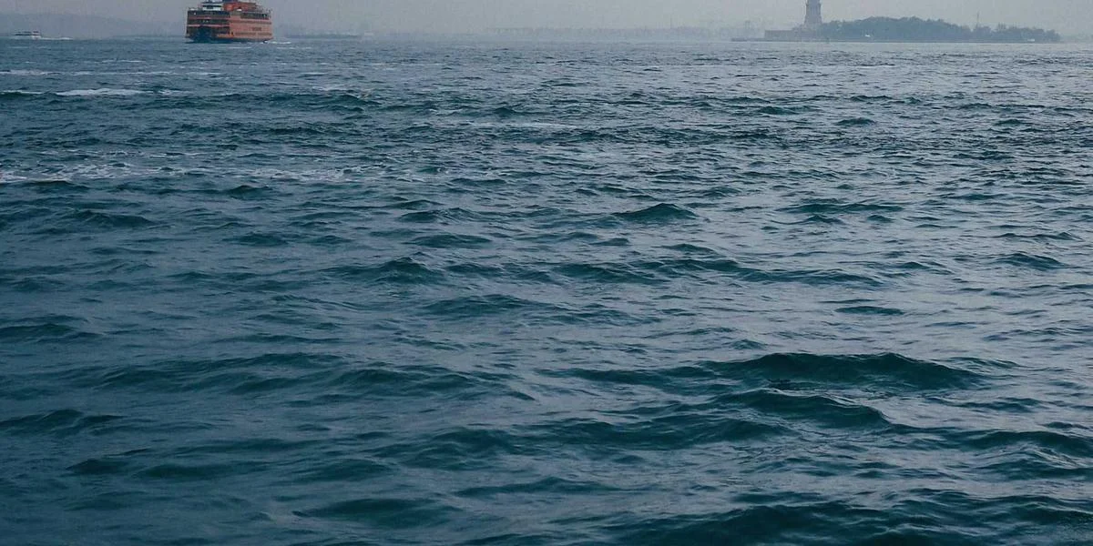 The Infinite Library