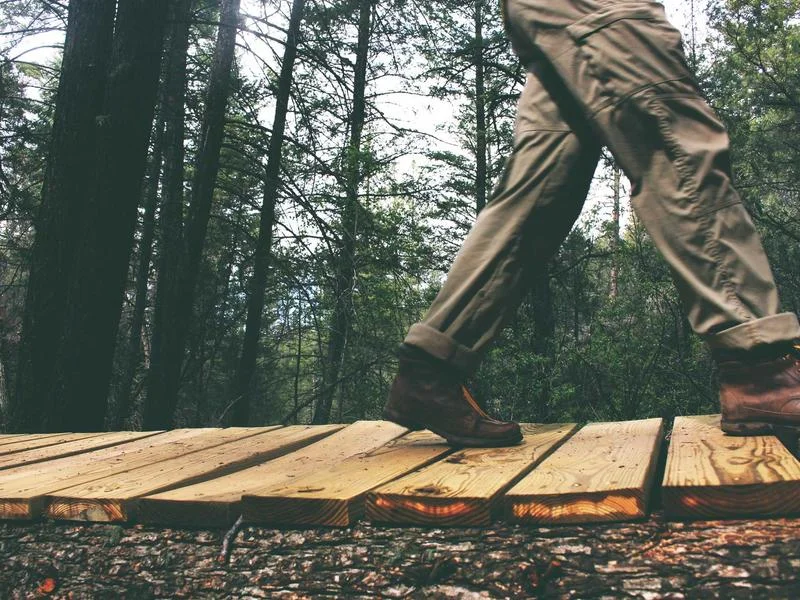 The Infinite Library